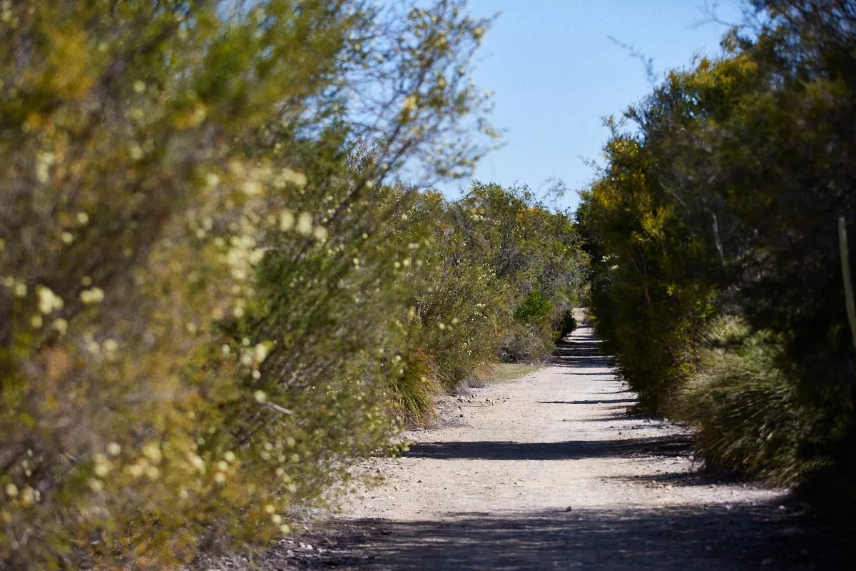 Mahala Forrestdale walking trails south of the river